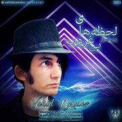 Player Cover